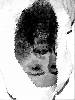 ubl.gif